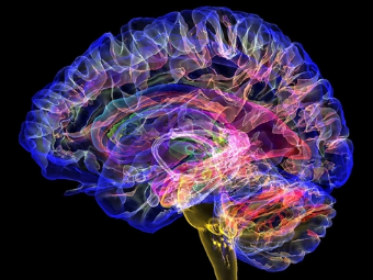 波肖门尾图库www45tkcom大脑植入物有助于严重头部损伤恢复